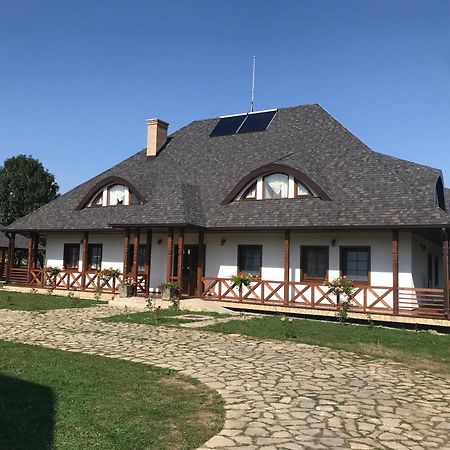 Hotel Casa Strabunicului Partestii de Sus  Esterno foto