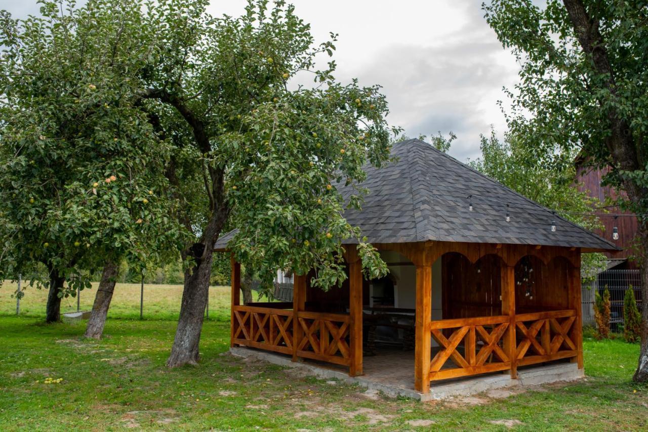 Hotel Casa Strabunicului Partestii de Sus  Esterno foto